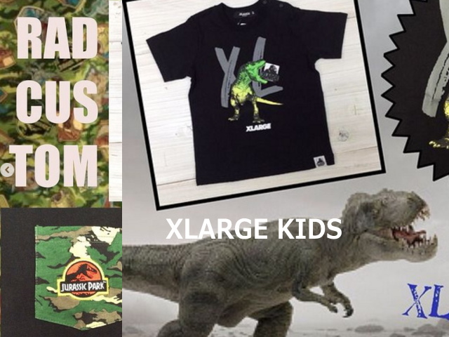 恐竜柄の夏向け商品も入荷してます 子供服のプチバンビーナblog